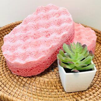 Exfoliating Soap Sponge